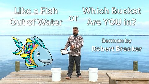 Like a Fish Out of Water or Which Bucket are YOU in?