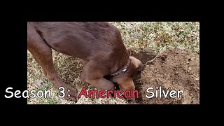 Season 3: American Silver on Canadian Soil