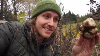 Vlogging a Cannabis Edible in the Garden + digging weird stuff up!