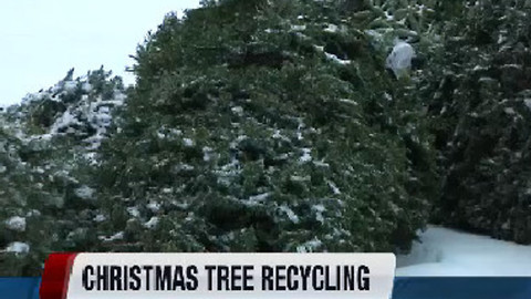 Christmas tree recycling in Nampa