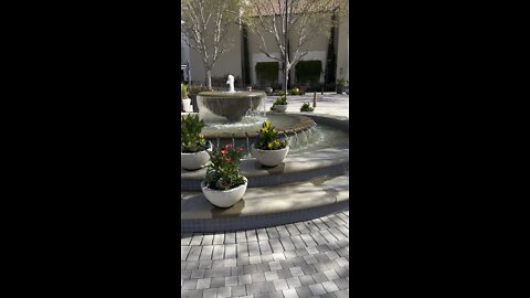 Fountain & Flowers