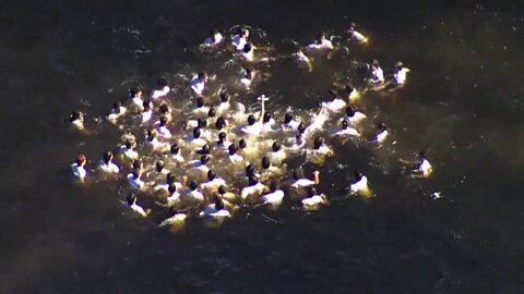 Cross retrieved at 117th annual Epiphany Celebration in Tarpon Springs