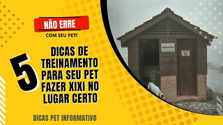 4 DICAS PARA TREINAR SEU PET A FAZER XIXI NO LOCAL CERTO.