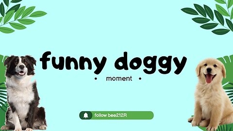 *Funny doggy* moment !!!