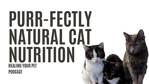 Healing Your Pet #4: Purr-fectly Natural: Cat Nutrition 101