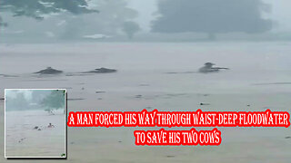 A man forced his way through waist-deep floodwater to save his two cows | SINUONG ANG BAHA!
