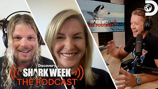 Do You Have the Guts to Be a Shark Handler Shark Week The Podcast