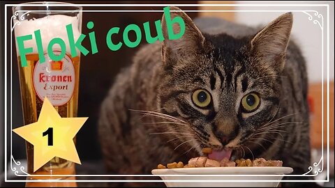 Floki coub#1 "Crazy cats"