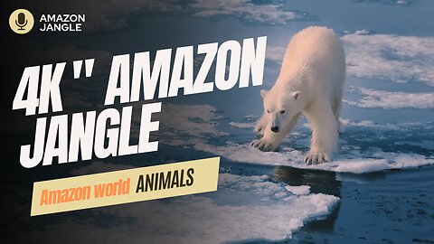 Amazon world video Jangle || Jangle Video Animal's