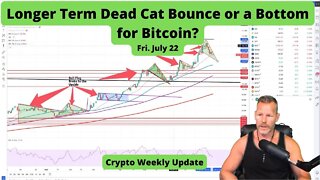 Is this really just a dead cat bounce or have we bottomed?