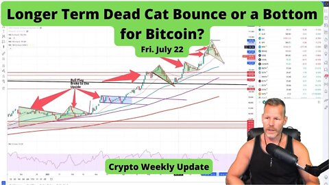 Is this really just a dead cat bounce or have we bottomed?