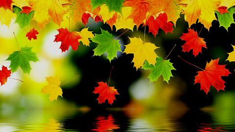 Wonderful Colors of Autumn