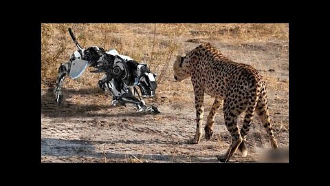 Modern super intelligent robots. Amazing superfast robotic animals.