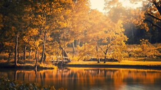Wonderful and Beautiful Instrumental Hymns | Peaceful, Quiet, Rest
