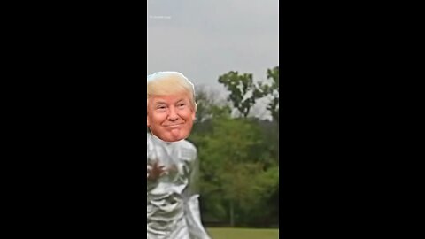 Kung Fu Trump