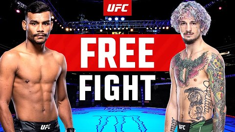 Sean O'Malley vs Raulian Paiva | FREE FIGHT | UFC 292