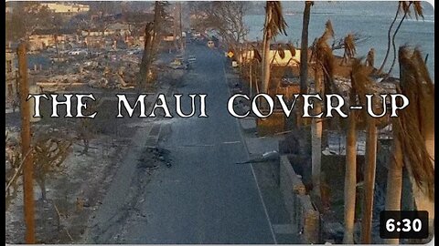 The Maui Cover-Up Bowne Report