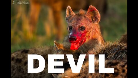 Hunting viral video , Wild dog hunting viral , devil on earth