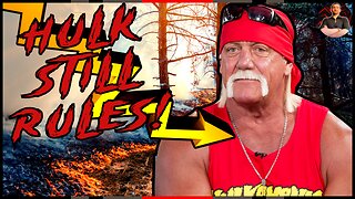 WWE Hall of Famer Hulk Hogan SAVES a Woman From a Car Crash!