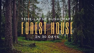 Build a Forest House in 30 Days w/material from the woods (time-lapse)