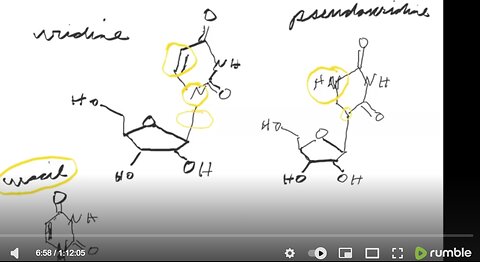 Graveyard Shift Ep49 (Use of pseudouridine in the cell) by Dr. Paul Cottrell