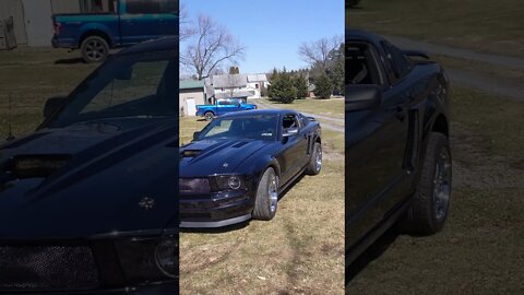 Ford mustang Swap - Gold VS Black Stealth