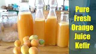 [Freshly squeezed] Orange juice for coconut water KEFIR (part 2)
