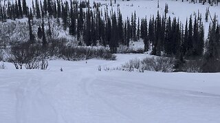 South fork trail Talkeetna, Ak