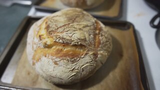 Baking my First successful Sourdough bread | The Homestead