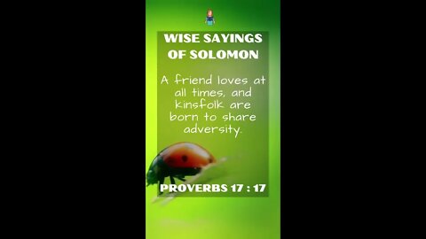 Proverbs 17:17 | NRSV Bible - Wise Sayings of Solomon