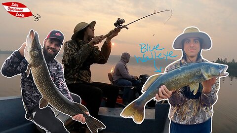 The Best Walleye Fishing In Canada | Remote Fishing For Big Pike & Walleye!