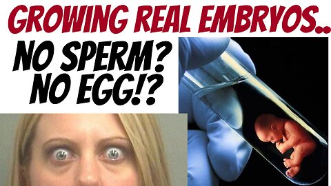 Growing Stem cell embryos... (babies?) "Just for research" they say!