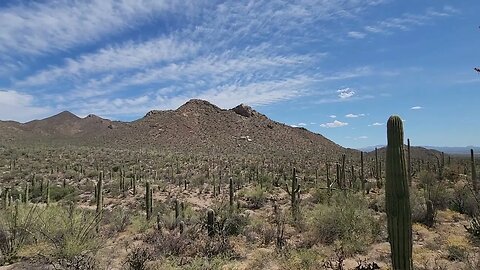 Saguaro National Park