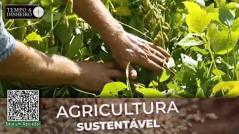 Modelo da nova agricultura já está sendo praticada em Goiás, com ênfase na sustentabilidade - RZ