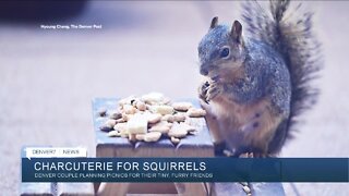 Colorado couple feeds two squirrels on miniature picnic table every day
