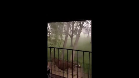 Storm Damage in Green Bay - Video: Stephen Thyssen