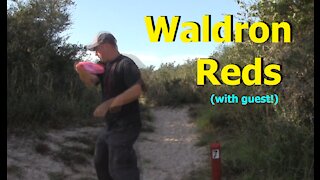 Waldron Red 9, with guest again!