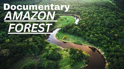 Documentary of Amazon Forest | History And Fact of Amazon Forest | SM Thrive | @MoueezAbbas.7 |