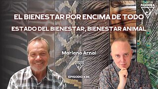 EL BIENESTAR POR ENCIMA DE TODO: ESTADO DEL BIENESTAR, BIENESTAR ANIMAL con Mariano Arnal