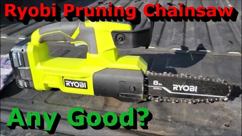 Testing the RYOBI 18V 8" Pruning Chainsaw | Any Good? Let's Try It.