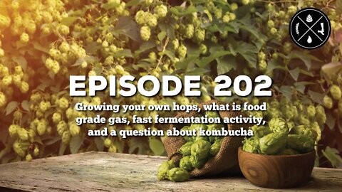 Growing hops, what is food grade gas, fast fermentation activity, & a q about kombucha - Ep.202