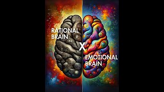 RATIONAL BRAIN X EMOTIONAL BRAIN