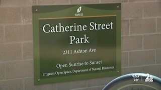 Catherine Street park problems
