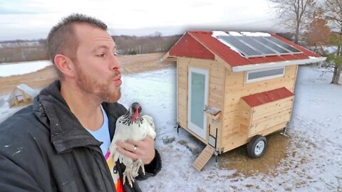 You’ve never seen a mobile chicken coop like THIS