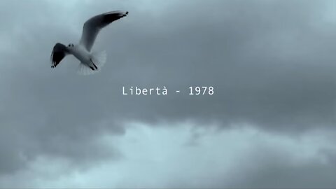 🔴 Sergio Caputo - Libertà ♪♫ (Video Ufficiale)