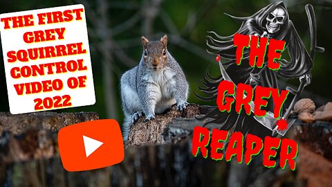 The first Grey Squirrel Control video of 2022