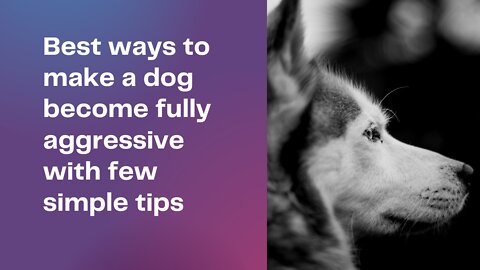 Best ways to make a dog become fully aggressive with few simple tips!!!