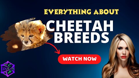 All You Need to Know about the Cheetah Breed