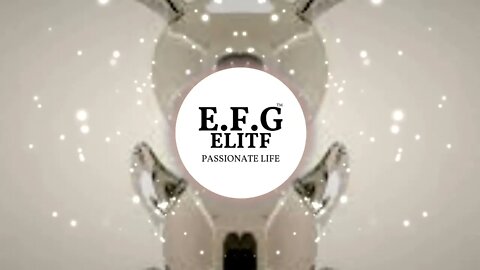 The Next 365 Days Think Passion, Think EFGELITF®, We build value for the future #EFGELITF