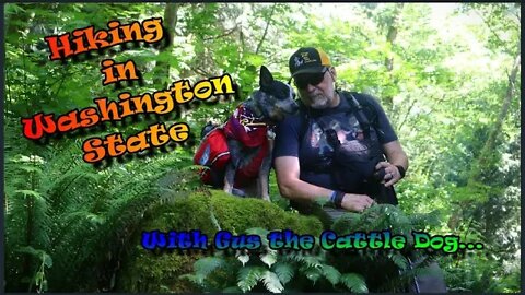 Hiking in Washington State - Chantrelle Trail Bellingham Wa.